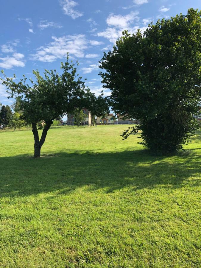 The Walnut Tree Gite Le Dorat 外观 照片